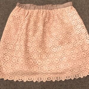 📣 JCrew elastic waist skirt with embroidered overlay